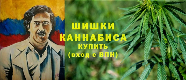 шишки Вяземский